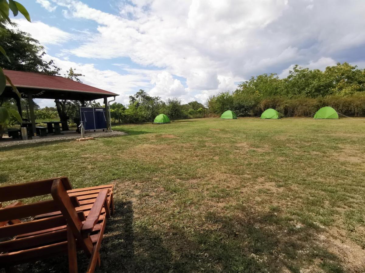 Ferienwohnung Berko Vendeghaz Rakoczifalva Exterior foto