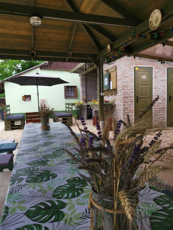 Ferienwohnung Berko Vendeghaz Rakoczifalva Exterior foto